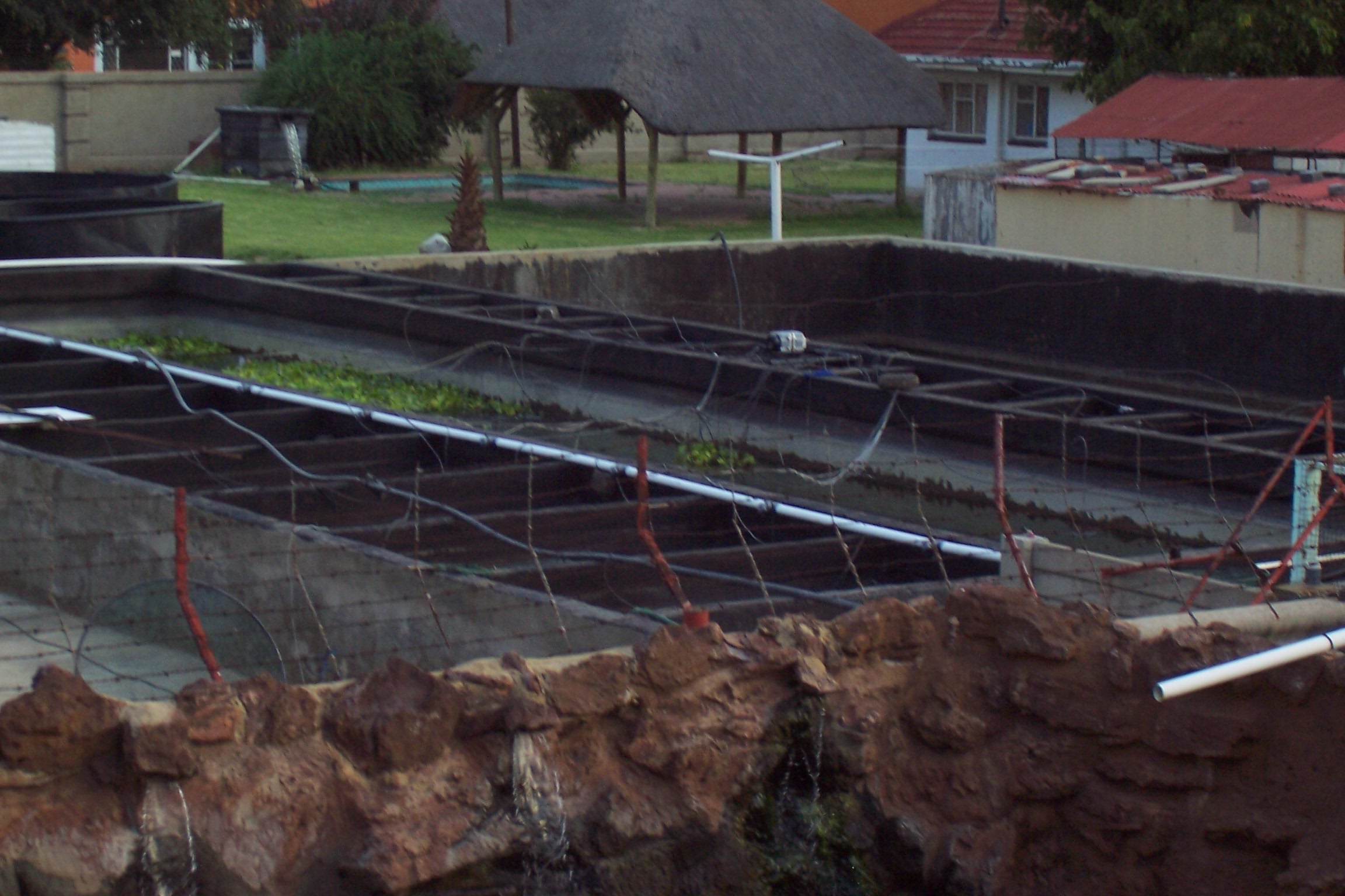 100_1930.jpg